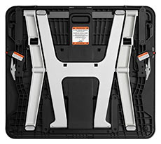 monto-back-new-21-Nov