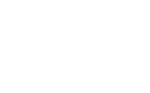 Ergo-Man-Height-Adjust